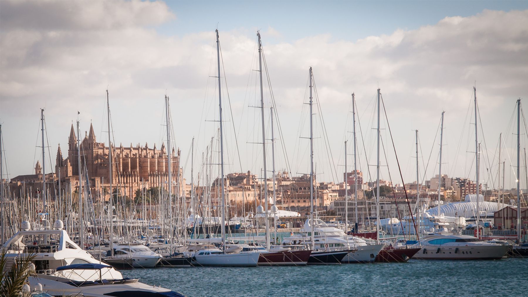 Vista panorámica del puerto de Palma, con embarcaciones y la Catedral de Mallorca al fondo.